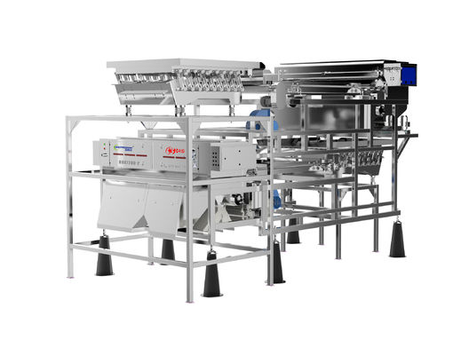 qualité  Customized Fruit Sorting Machine Belt Type 1.0-1.5T/H Blueberry Color Sorter usine