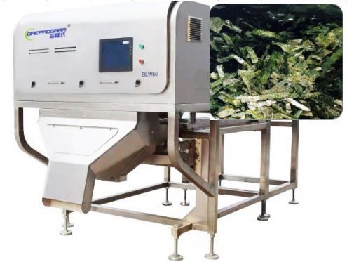 Trieuse de couleur de Nori Seaweed Vegetable Sorting Machine 1-3T/H Wolfberry