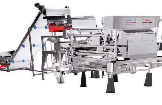 Type à haute production trieuse de ceinture de 4 - 7 t/h de couleur de plastique